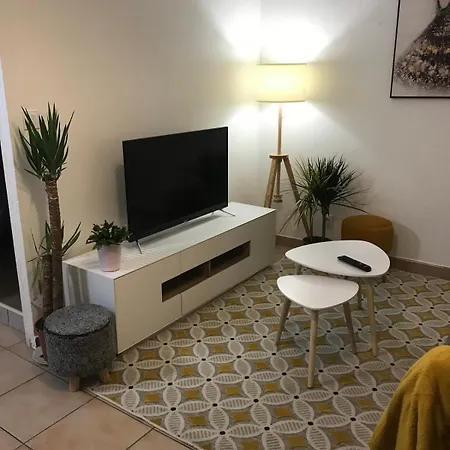 Cozy Atmosphere 4pers Near Eurexpo Groupamastadium *
