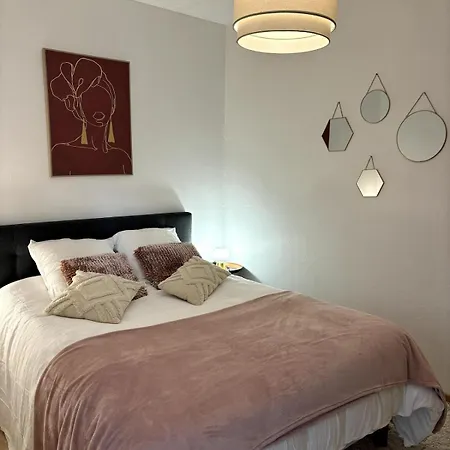 Cozy Atmosphere 4pers Near Eurexpo Groupamastadium *