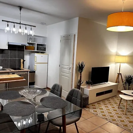 Cozy Atmosphere 4pers Near Eurexpo Groupamastadium Apartment *